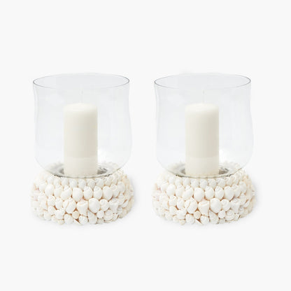 Sophia Shell Hurricane Lantern