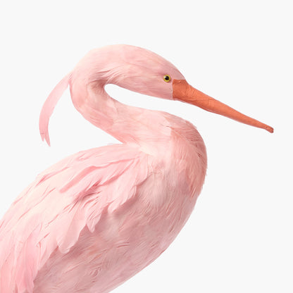 Pink Saskia Stork (Pair) - 60cm