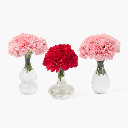 Esme Bud Vase Set (Set of 3)